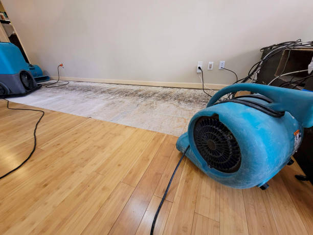 Professional Burst Pipe Water Damage technician working in Nevada, IA
